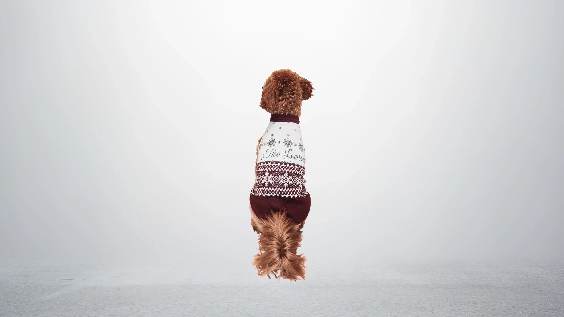 Pet Christmas Sweater