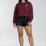 Model wearing Bachelorette Tour Sweatshirt - Maroon